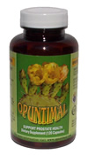 prostate gland health